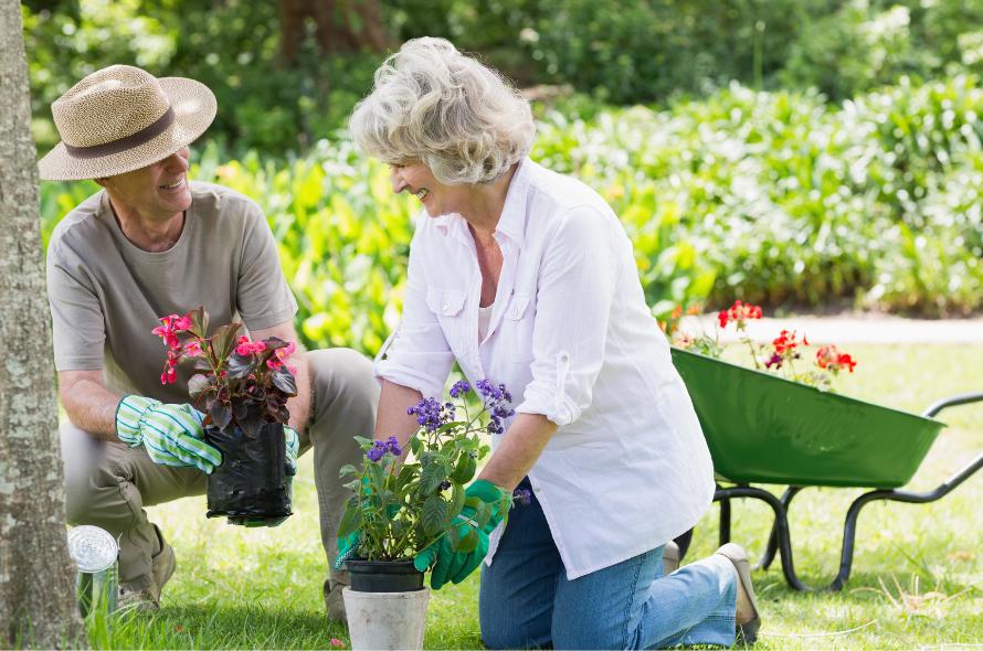 A man in a hat and a woman in a white shirt kneel while gardening. A green wheelbarrow and green plants are in the background