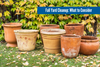 Fall Yard Cleanup: Top 7 Tips Older Adults