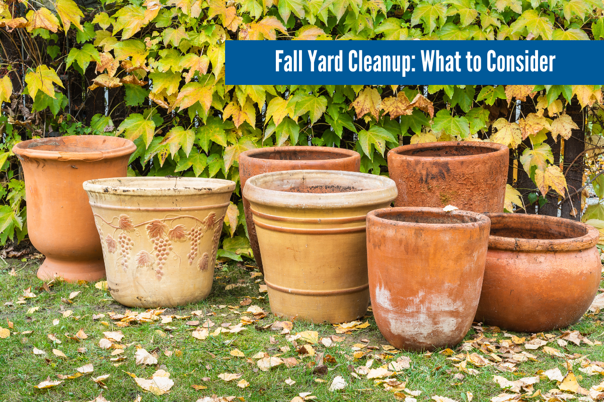 Fall Yard Cleanup: Top 7 Tips Older Adults