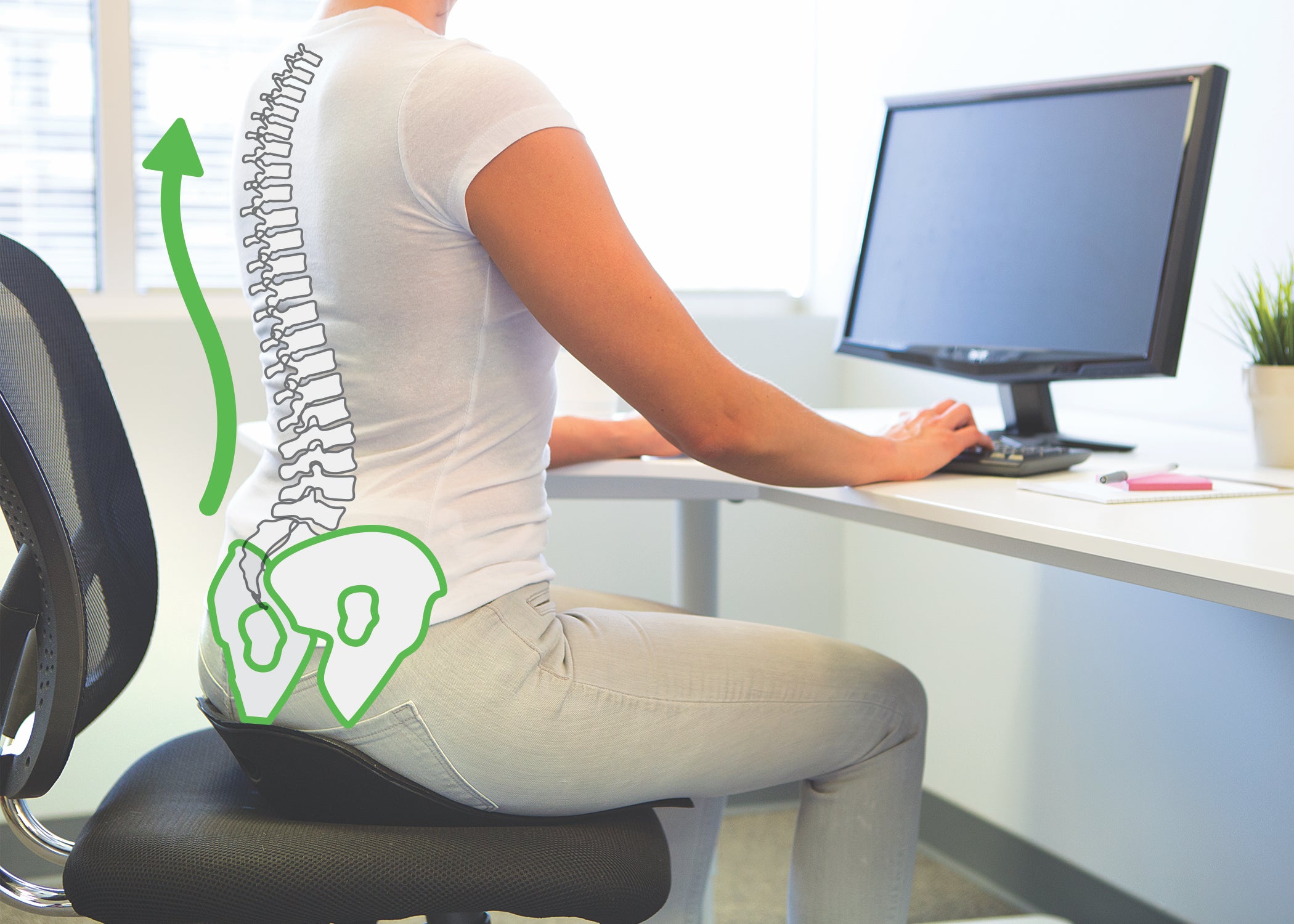 Backjoy Sitsmart Posture Plus  Fitterfirst's Active Office Equipment - USA  Fitterfirst