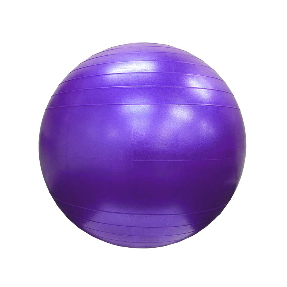 Swiss Ball - Fitball - Gymball - Ballon de Gym - TeamShape Fitness